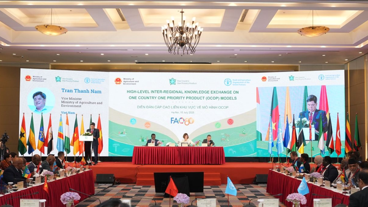 Innovation and national product branding can transform agrifood systems in Africa and Asia: FAO