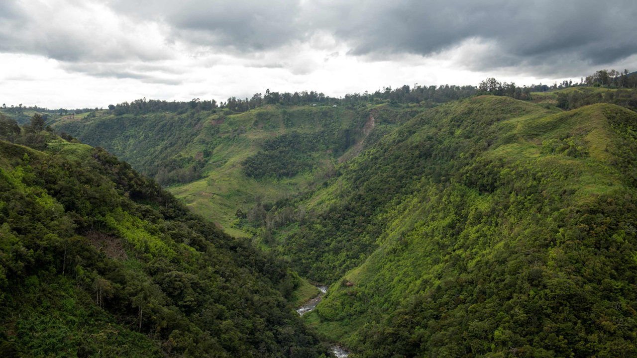 USD 42 million program launched for primary forests in Southeast Asia and the Pacific