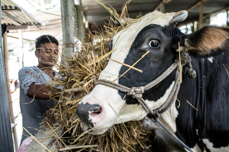 Silent pandemic of antimicrobial resistance continues to raise alarm