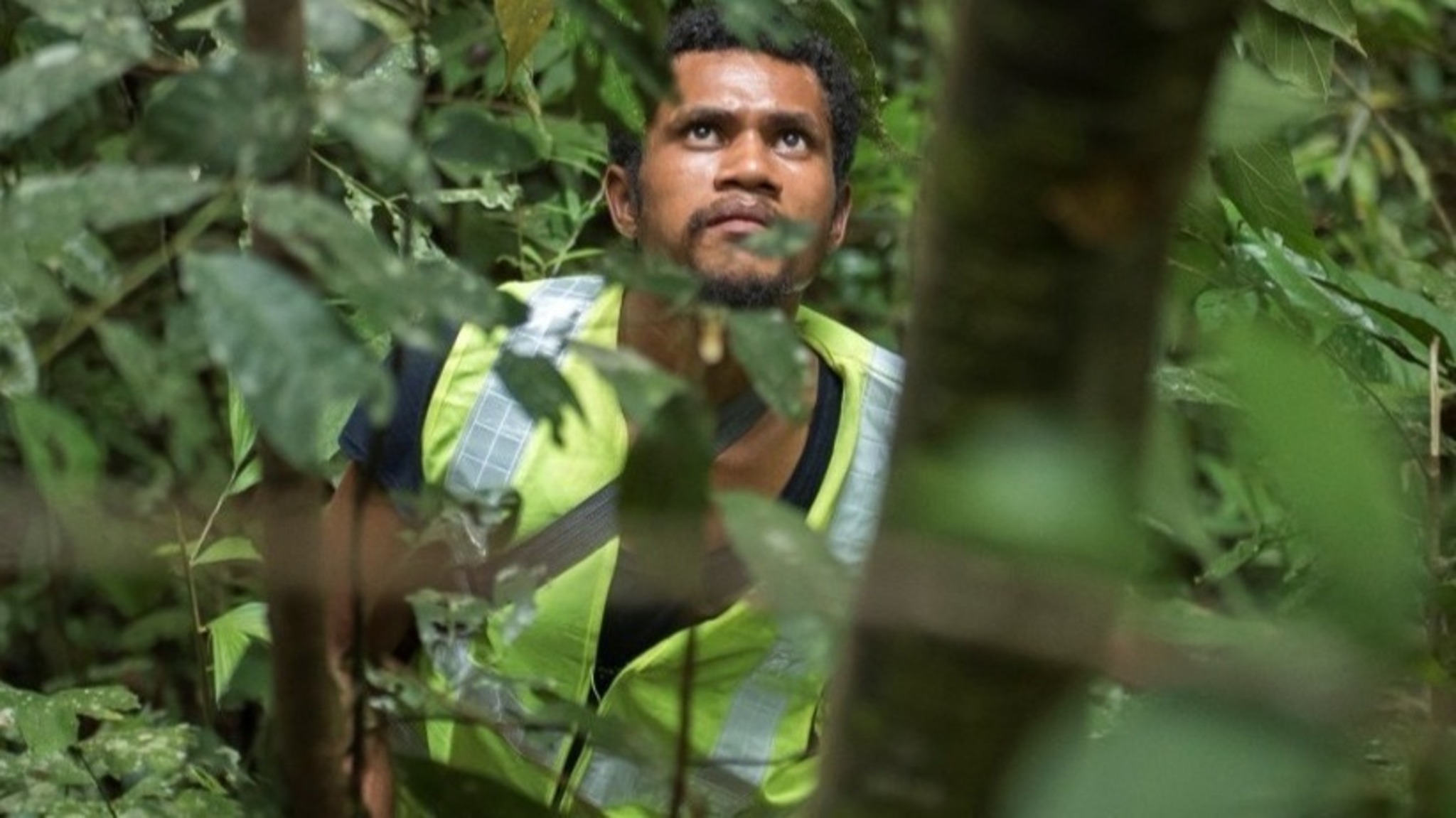 Forest data without borders: FAO launches National Forest Inventory Learning Journey to strengthen forest data across Asia and the Pacific