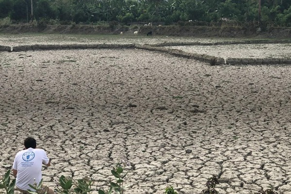 pr drought