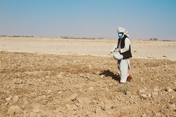 FAO_PO_AFG_20211125_047