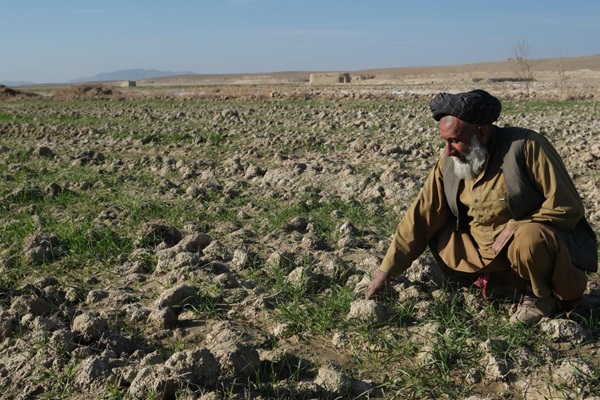 FAO_PO_AFG_20220303_005m