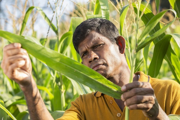 PO_UNDP__LKA_20190226_0010r