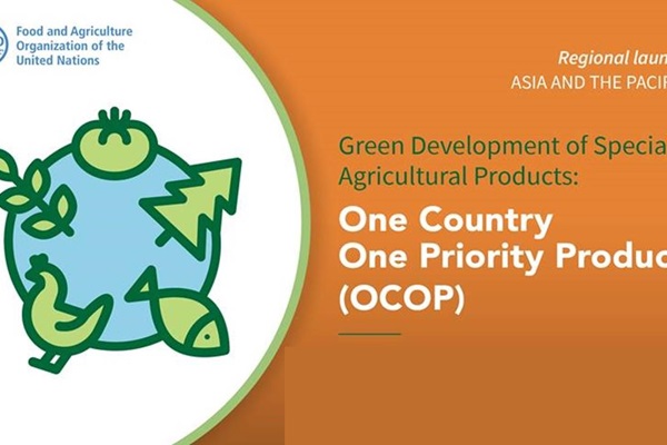 pr ocop