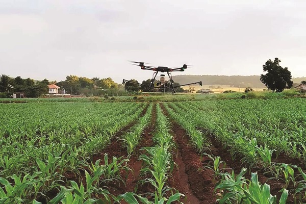 Thailand_Drone for Anti-pest spryaing