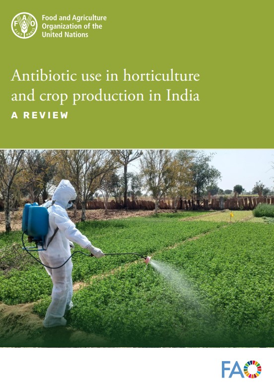 Policy brief_India