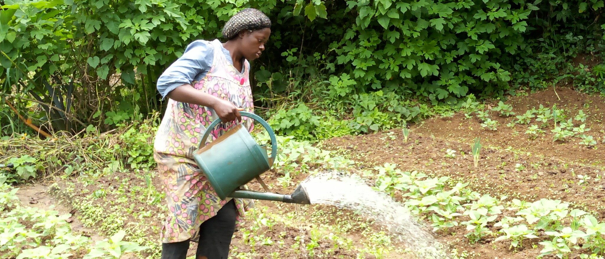 New FAO Project to strengthen forest sector contributions to healthy and sustainable agrifood systems A woman supported by a FAO project in Cameroon ©FAO/Gerbert Dossa
