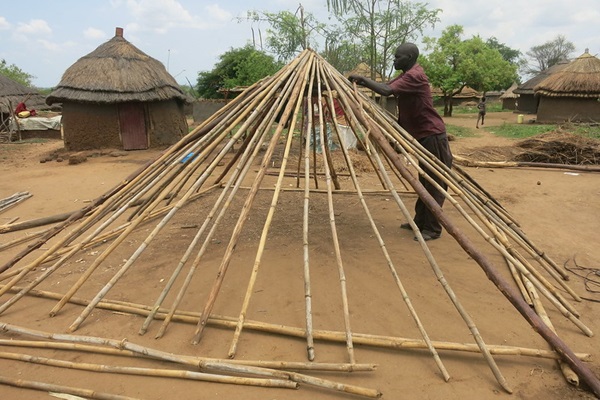 Bamboo roofing ©FAO/Arturo Gianvenuti Bamboo roofing ©FAO/Arturo Gianvenuti