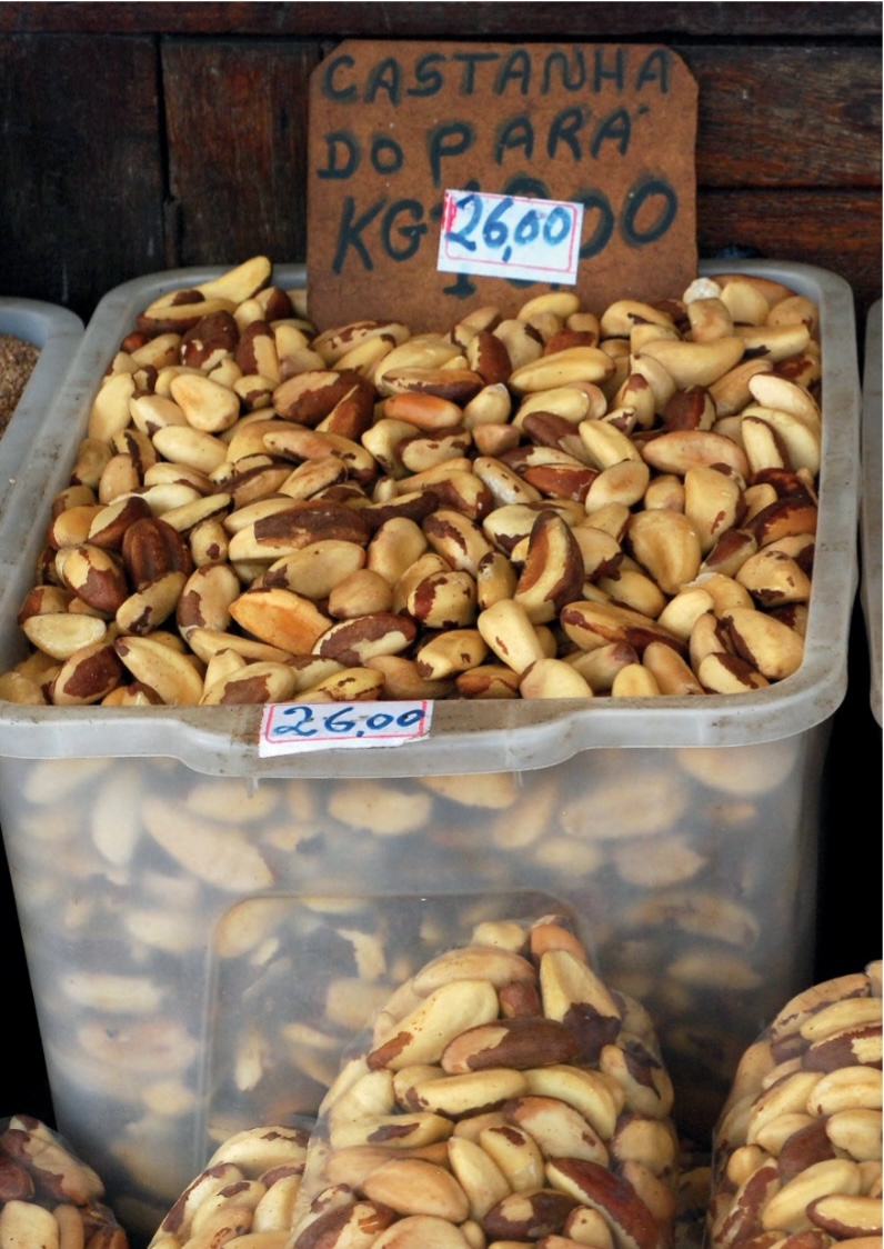 Brazil nuts for sale ©Celine Massa Brazil nuts for sale ©Celine Massa