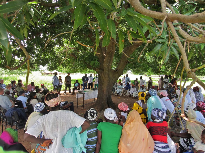 Burkina Faso an association of Shea Butter producers under a shea tree ©Flickr/Duncan Macqueen Burkina Faso an association of Shea Butter producers under a shea tree ©Flickr/Duncan Macqueen