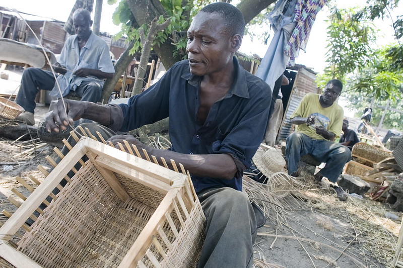 Central Africa, NWFPs. Ⓒ FAO/Giulio Napolitano