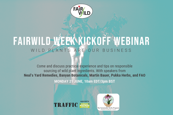 FairWild Week Webinar: Wild Plants are Our Business FairWild Week Webinar: Wild Plants are Our Business