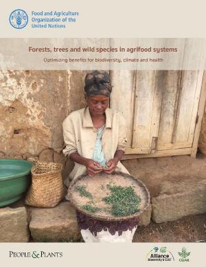 Forests, trees and wild species in agrifood systems