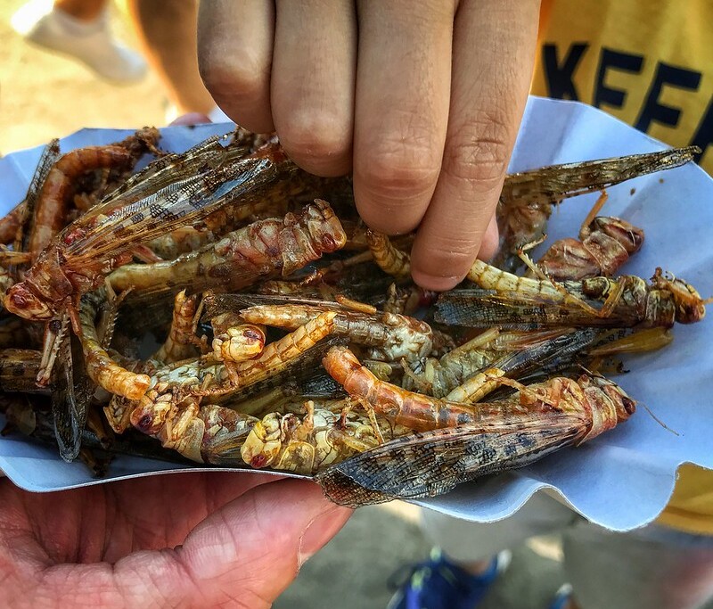 Fried grasshoppers ⒸFlickr/Karen Axelrad