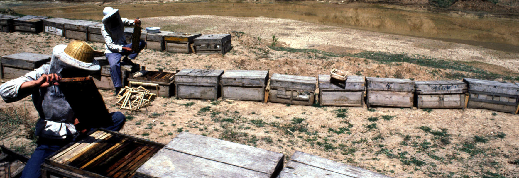 China, beekepers ©FAO/Florita Botts China, beekepers ©FAO/Florita Botts
