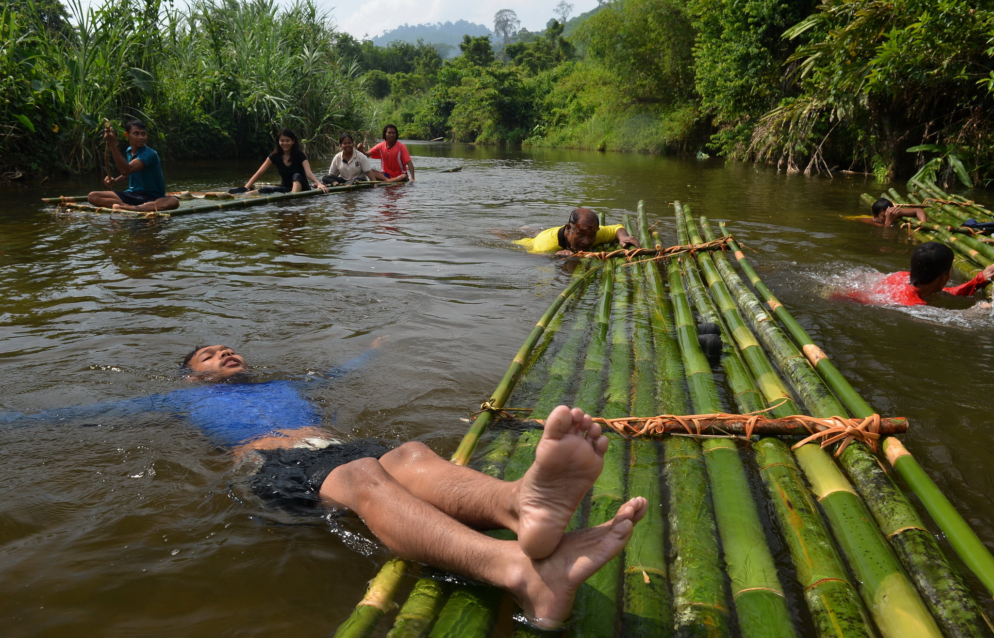 Malaysia, the indigenous Jahut community floating some bamboo logs for contruction ©FAO/Colin Nicholas Malaysia, the indigenous Jahut community floating some bamboo logs for contruction ©FAO/Colin Nicholas