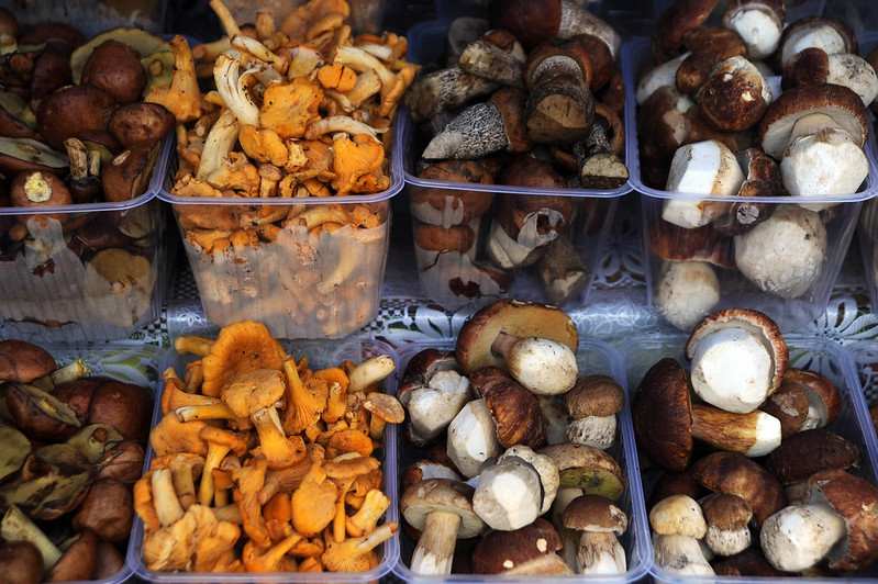Mushrooms sold at the Dorogomilovsky Food Market ©FAO/Vasily Maksimov