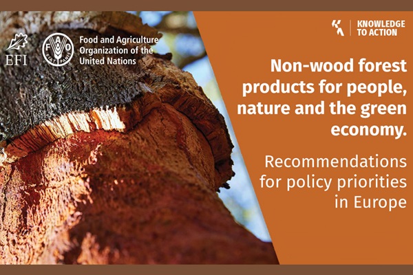 Non-wood forest products for people, nature and the green economy. Recommendations for policy priorities in Europe Non-wood forest products for people, nature and the green economy. Recommendations for policy priorities in Europe