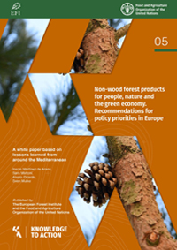 Non-wood forest products for people, nature and the green economy. Recommendations for policy priorities in Europe Non-wood forest products for people, nature and the green economy. Recommendations for policy priorities in Europe