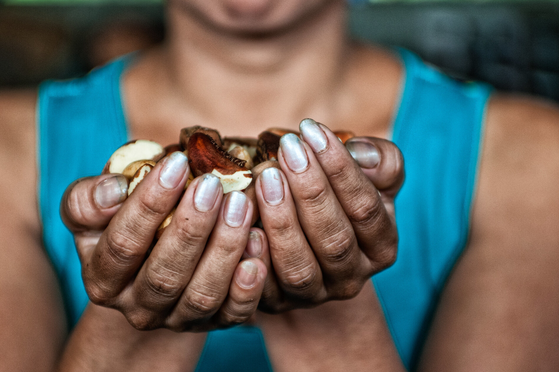 A handful of nuts. Puerto Maldonado, Madre de Dios, Peru. ©Marco Simola/CIFOR A handful of nuts. Puerto Maldonado, Madre de Dios, Peru. ©Marco Simola/CIFOR
