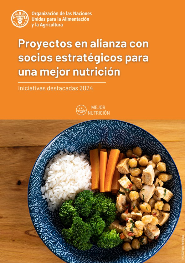 Proyectos en alianza con socios estrategicos para una mejor nutricion