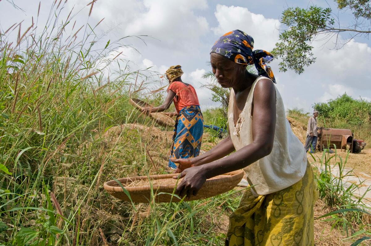 16th Multidisciplinary team meeting in West Africa: A vision for social protection and sustainable agriculture