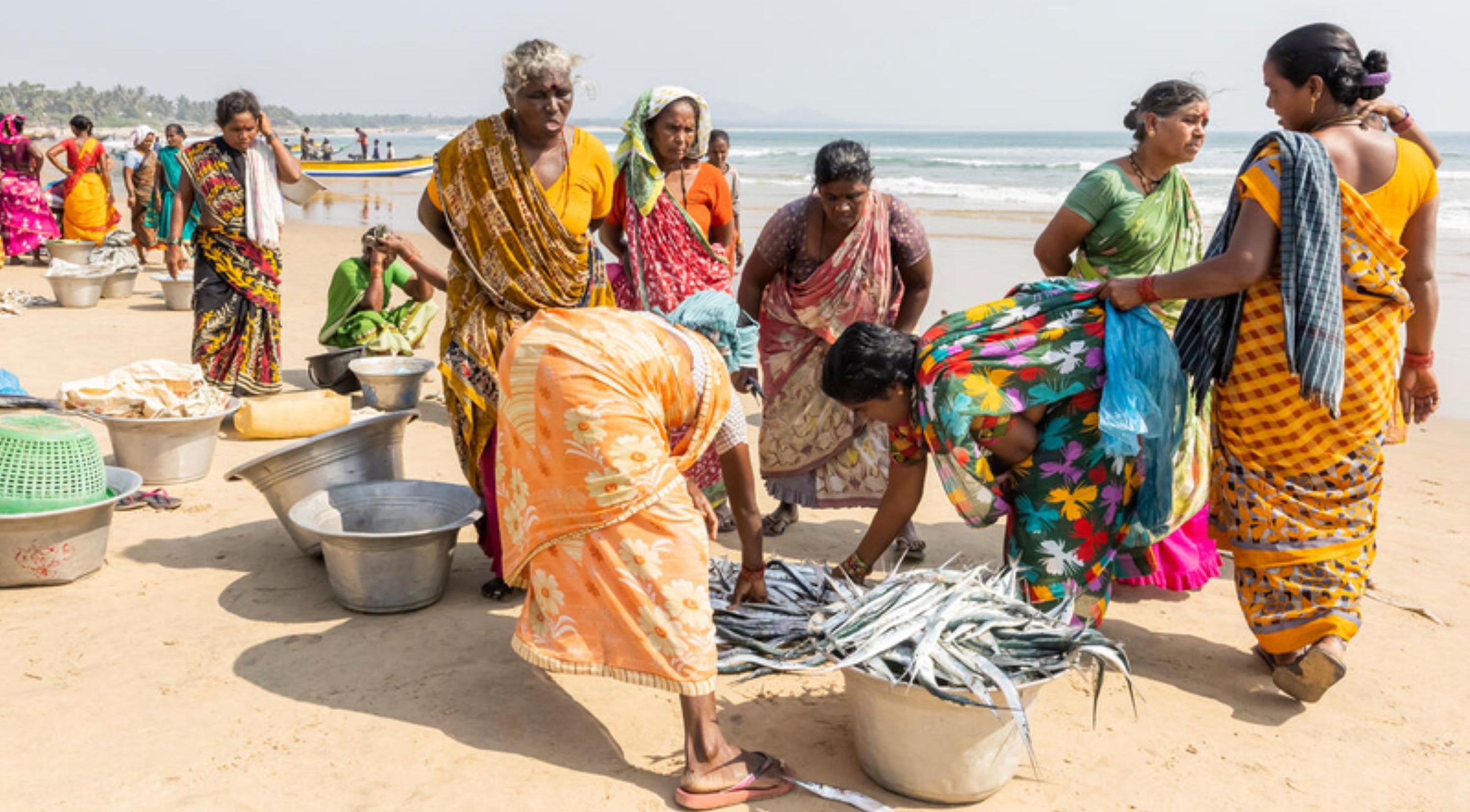 Fish India