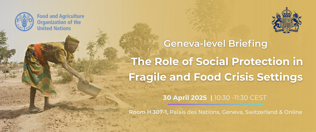 The role of social protection in fragile and food crisis settings