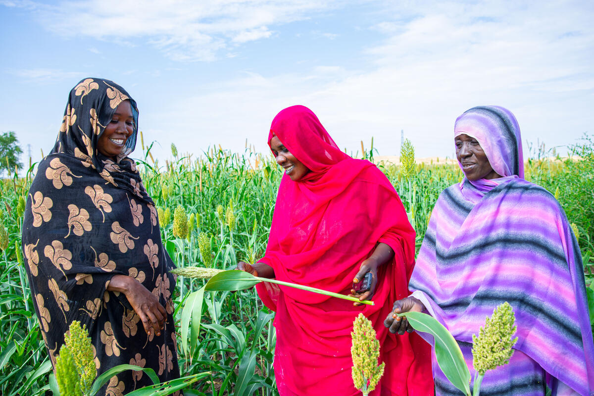 How farmer registries can drive the expansion of inclusive social protection