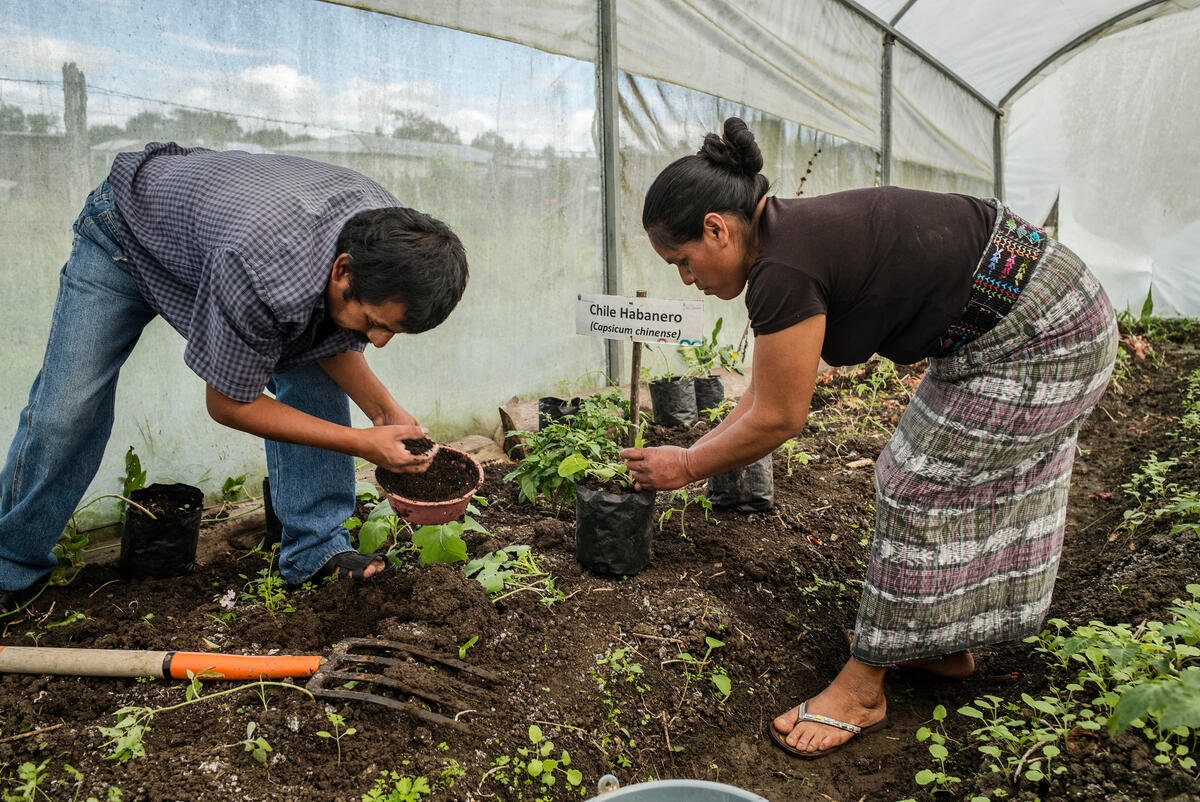 Launch of Joint SDG Fund to improve working conditions for wage workers
