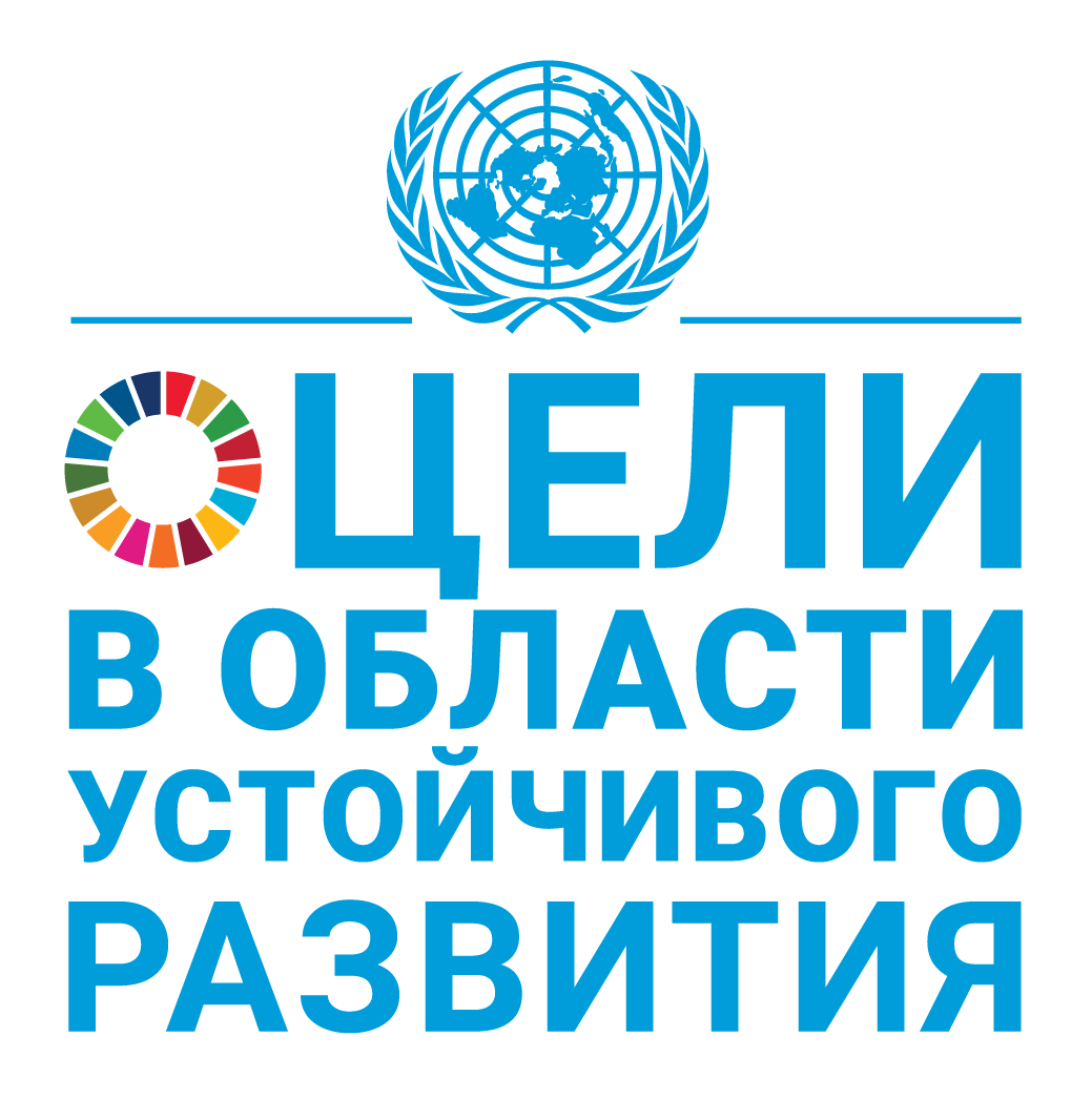 R SDG logo with UN Emblem_Square_WEB R SDG logo with UN Emblem_Square_WEB