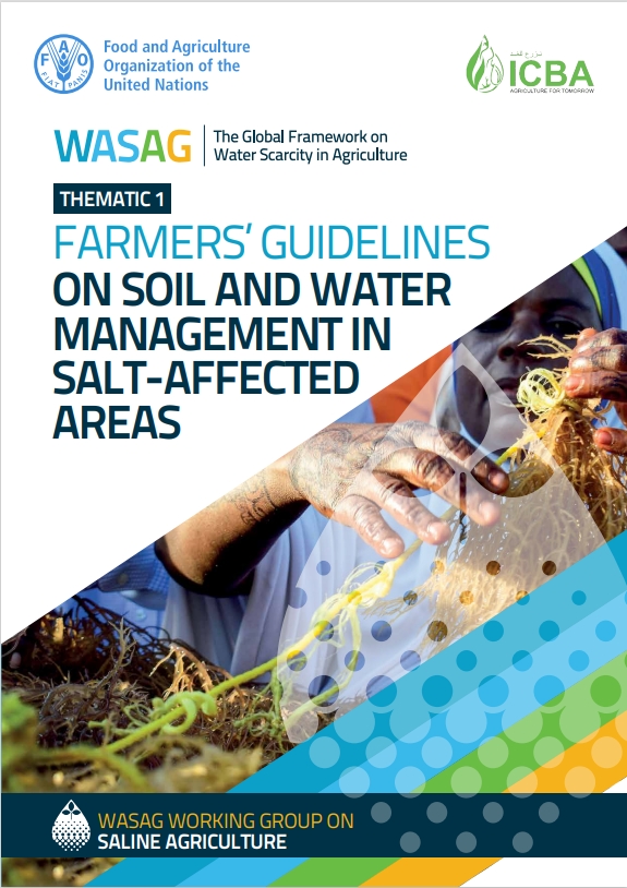 Thematic 1: Farmers’ guidelines on soil and water management in salt-affected areas
