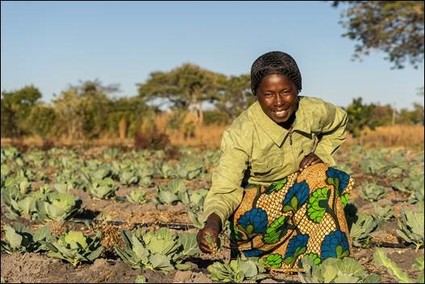 Workshop: Can Water Productivity Improvements Save Us from Global Water Scarcity?