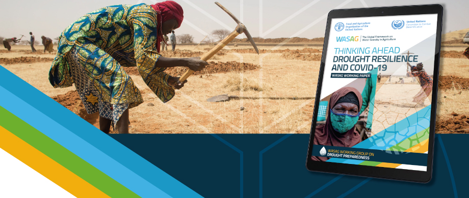Learn more about the WASAG Working Paper and Webinar on Drought resilience and COVID-19